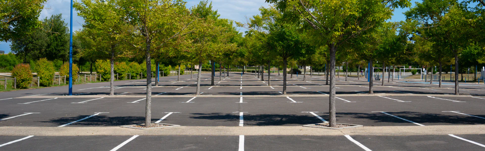 commercial parking lot with small trees naples fl